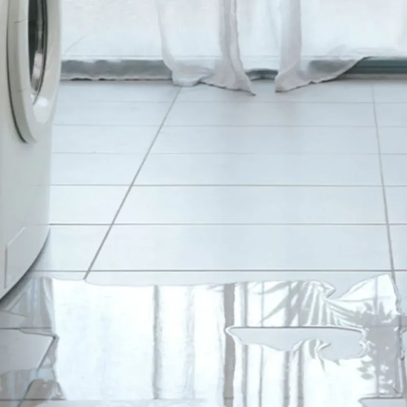 Appliance Leak Cleanup in Navarro County, TX