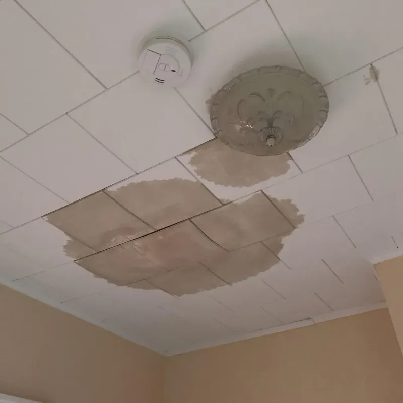 Ceiling Water Damage Repair in Navarro County, TX