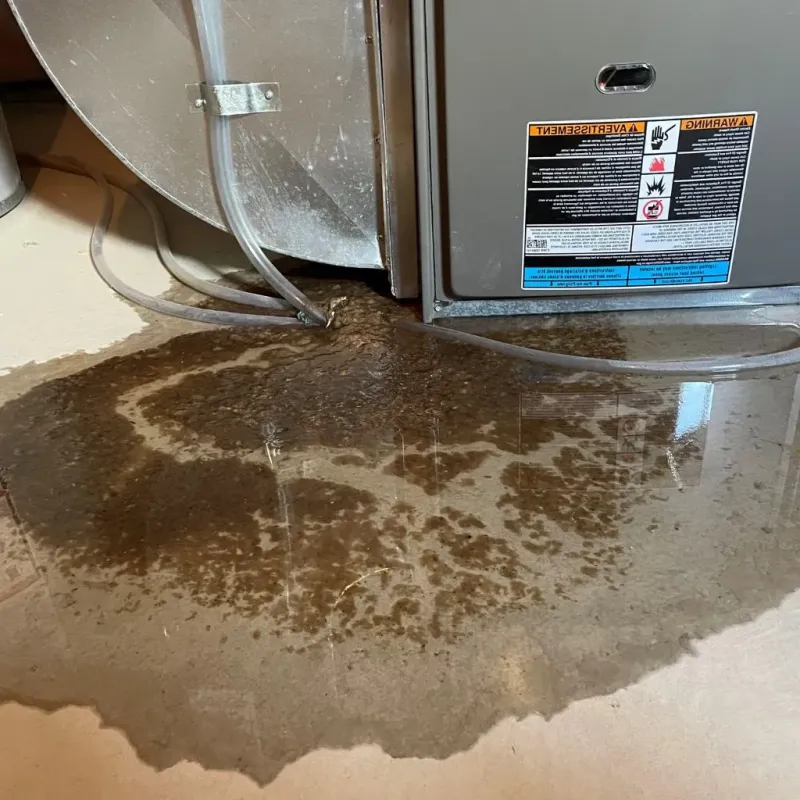 Pipe Burst and Leak Restoration in Navarro County, TX