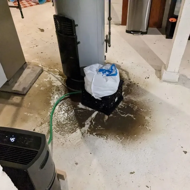 Sewage Backup Cleanup Service in Navarro County, TX
